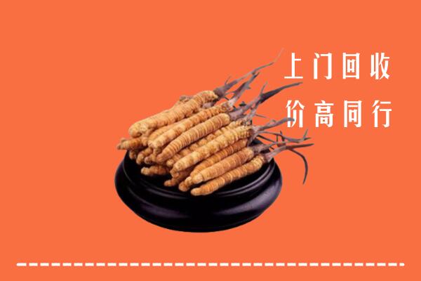 高价求购：巴中恩阳区回收散虫草
