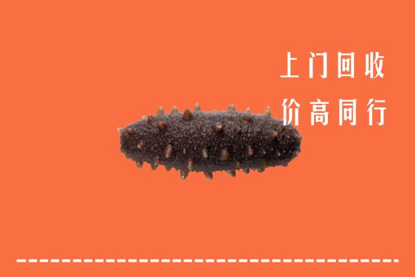 高价求购：巴中恩阳区回收海参