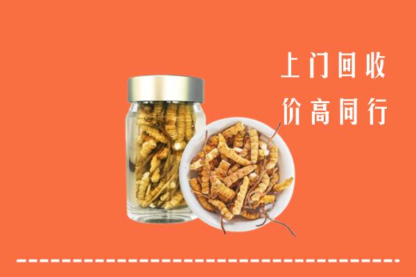 巴中恩阳区回收冬虫夏草