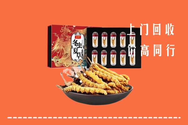 巴中恩阳区回收虫草